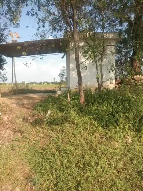 Arulmigu Vinayagar Temple, Moppiripalayam - 641659 அருள்மிகு விநாயகர் திருக்கோயில், சுண்டமேட்டுப்புதூர் - 641659, Coimbatore - Ancient Temple Architecture and History Image 3