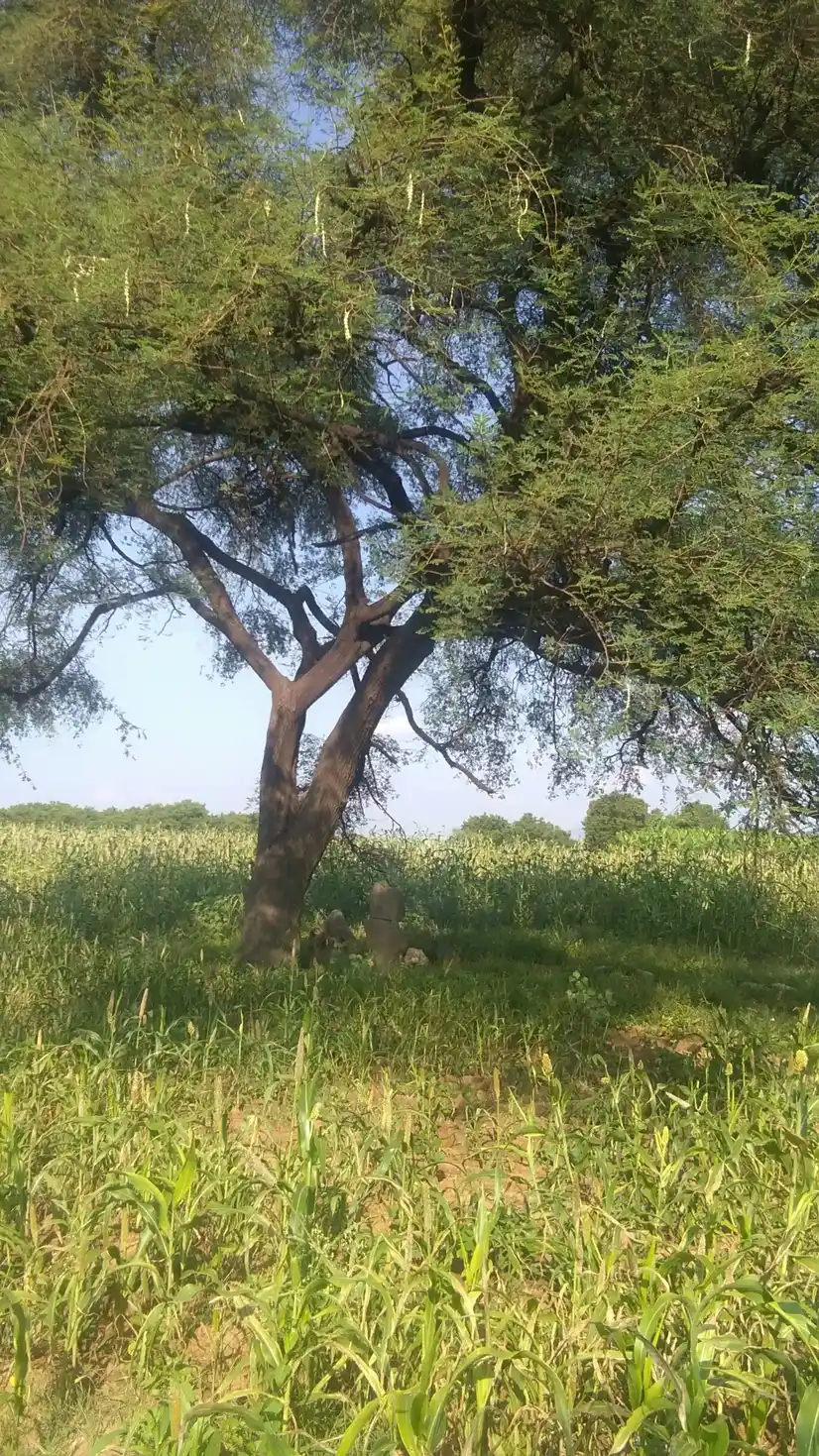 Arulmigu Vinayagar Temple, Mottanoothu - 625512 விநாயகர் திருக்கோயில், Mottanoothu - 625512, Theni - Ancient Temple Architecture and History Image 3