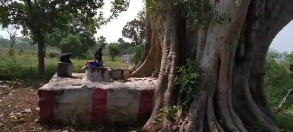 Arulmigu Vinayagar Temple, Musuvanoothu - 624219 அருள்மிகு விநாயகர் திருக்கோயில், Musuvanoothu - 624219, Dindigul - Ancient Temple Architecture and History Image 5