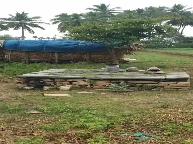 Arulmigu Vinayagar Temple, Nalloor - 624204 அருள்மிகு விநாயகர் திருக்கோயில், Nalloor - 624204, Dindigul - Ancient Temple Architecture and History Image 4