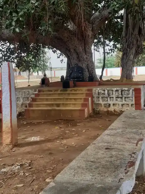 Arulmigu Vinayagar Temple, Nallur - 637203 அருள்மிகு விநாயகர் வரதராஜபெருமாள் திருக்கோயில், நல்லூர் - 637203, Namakkal - Ancient Temple Architecture and History Image 4