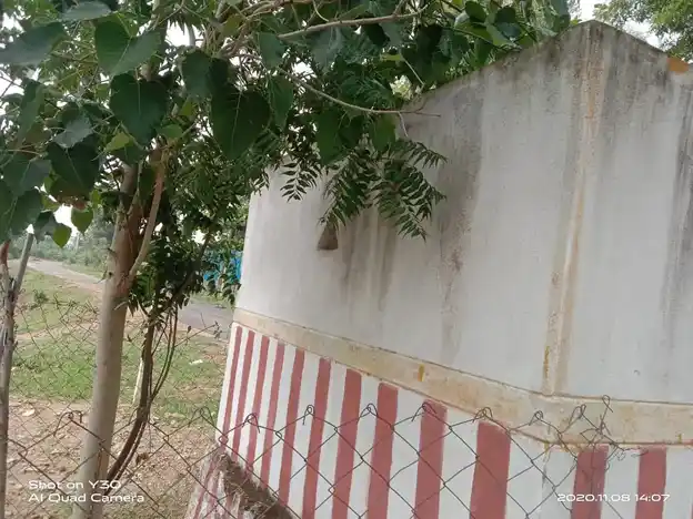 Arulmigu Vinayagar Temple, Nedumadurai - 625022 விநாயகர் கோயில், Nedumadurai - 625022, Madurai - Ancient Temple Architecture and History Image 3