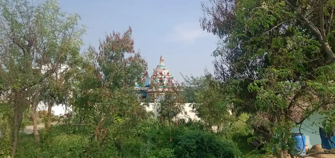 Arulmigu Vinayagar Temple, Ninnaiyur - 606305