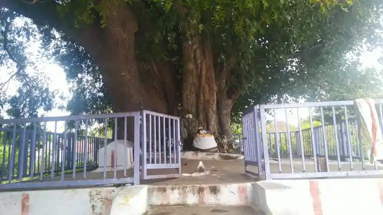 Arulmigu Vinayagar Temple, Okkilepalayam - 641002 அருள்மிகு விநாயகர் திருக்கோயில், Okkilepalayam - 641002, Coimbatore - Ancient Temple Architecture and History Image 3