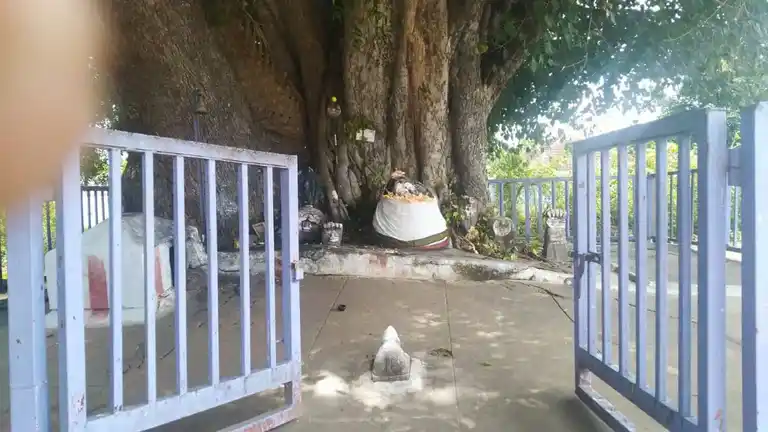 Arulmigu Vinayagar Temple, Okkilepalayam - 641002 அருள்மிகு விநாயகர் திருக்கோயில், Okkilepalayam - 641002, Coimbatore - Ancient Temple Architecture and History Image 4