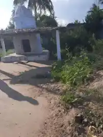 Arulmigu Vinayagar Temple, Palaniyapuri - 636109 அருள்மிகு விநாயகர் திருக்கோயில், Palaniyapuri - 636109, Salem - Ancient Temple Architecture and History Image 2