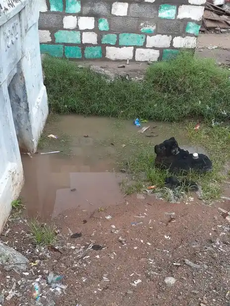 Arulmigu Vinayagar Temple, Pandagapadi - 621117 Temple