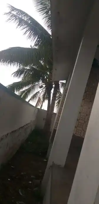 Arulmigu Vinayagar Temple, Pannigundu - 625706 விநாயகர் திருக்கோயில், Pannigundu - 625706, Madurai - Ancient Temple Architecture and History Image 2