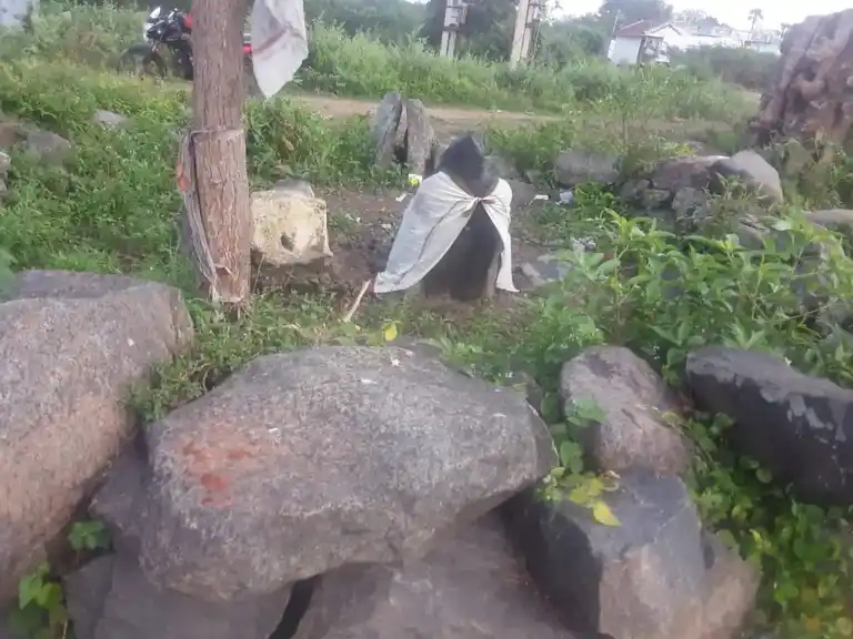 Arulmigu Vinayagar Temple, Perunila - 621117 Temple