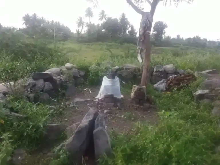Arulmigu Vinayagar Temple, Perunila - 621117 Arulmigu Vinayagar Temple, Perunila - 621117, Perambalur - Ancient Temple Architecture and History Image 2