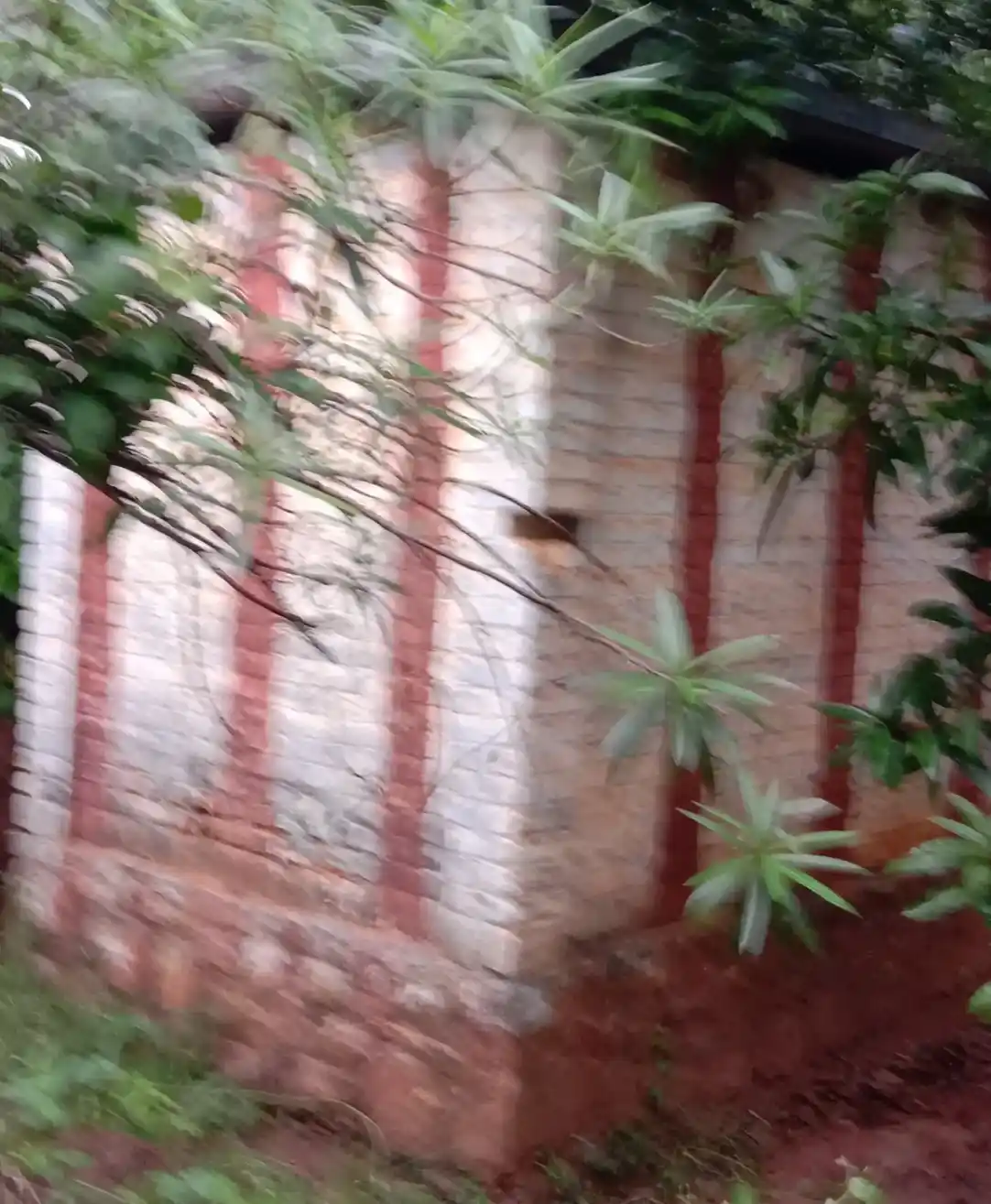 Arulmigu Vinayagar Temple, Perunkulam, Madhusoothanapuram - 629601 அருள்மிகு சங்கர விநாயகர் திருக்கோயில், Perunkulam, Madhusoothanapuram - 629601, Kanyakumari - Ancient Temple Architecture and History Image 2