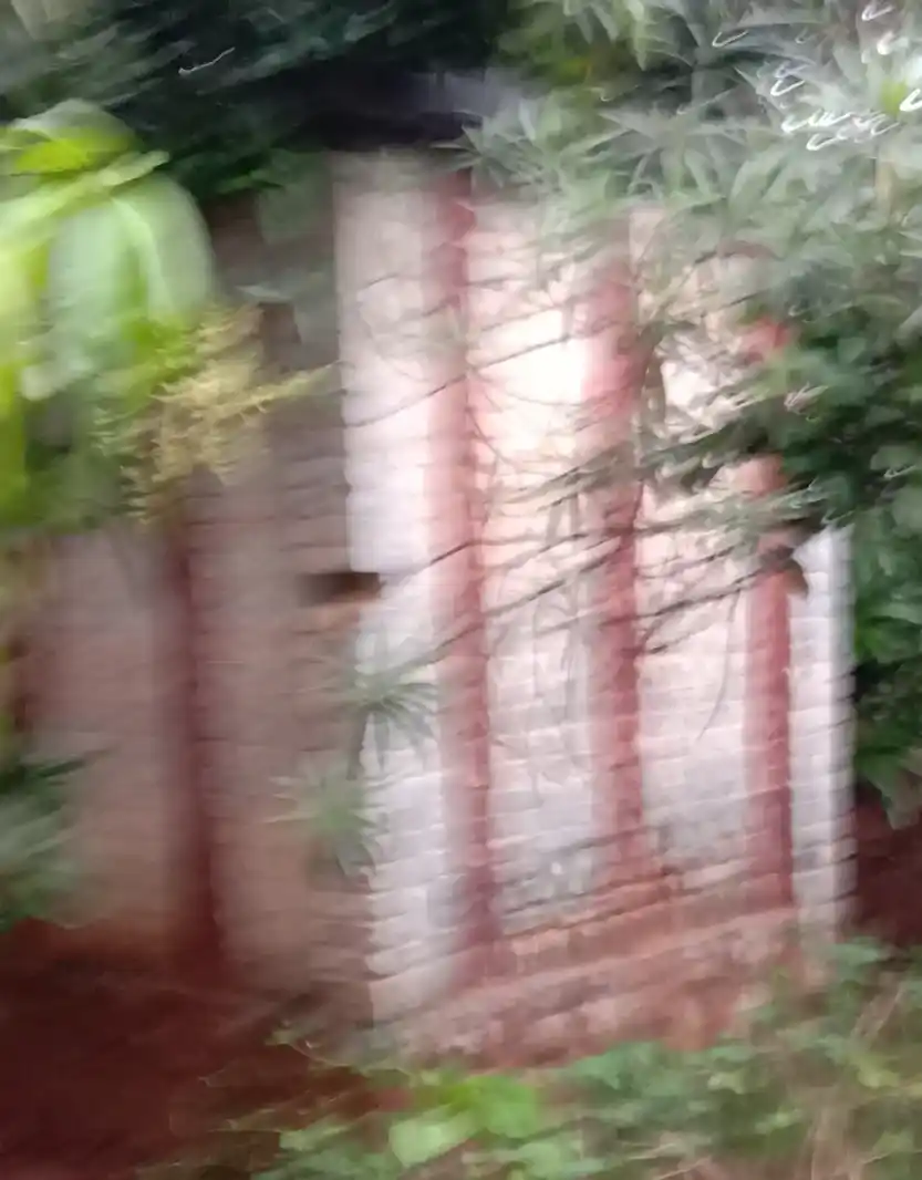 Arulmigu Vinayagar Temple, Perunkulam, Madhusoothanapuram - 629601 அருள்மிகு சங்கர விநாயகர் திருக்கோயில், Perunkulam, Madhusoothanapuram - 629601, Kanyakumari - Ancient Temple Architecture and History Image 3