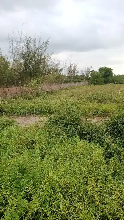 Arulmigu Vinayagar Temple, Perunthanam Nellithoppu - 612903 Temple