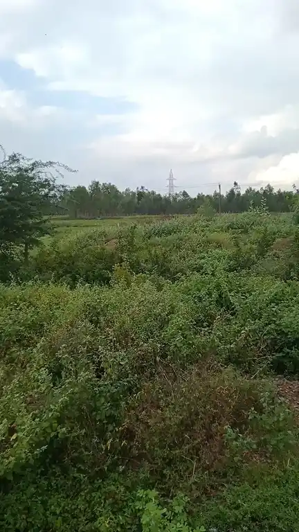 Arulmigu Vinayagar Temple, Perunthanam Nellithoppu - 612903 அருள்மிகு பெருந்தன வினாயகர் திருக்கோயில், நெல்லிதோப்பு - 612903, Ariyalur - Ancient Temple Architecture and History Image 3