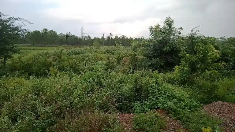 Arulmigu Vinayagar Temple, Perunthanam Nellithoppu - 612903 அருள்மிகு பெருந்தன வினாயகர் திருக்கோயில், நெல்லிதோப்பு - 612903, Ariyalur - Ancient Temple Architecture and History Image 4