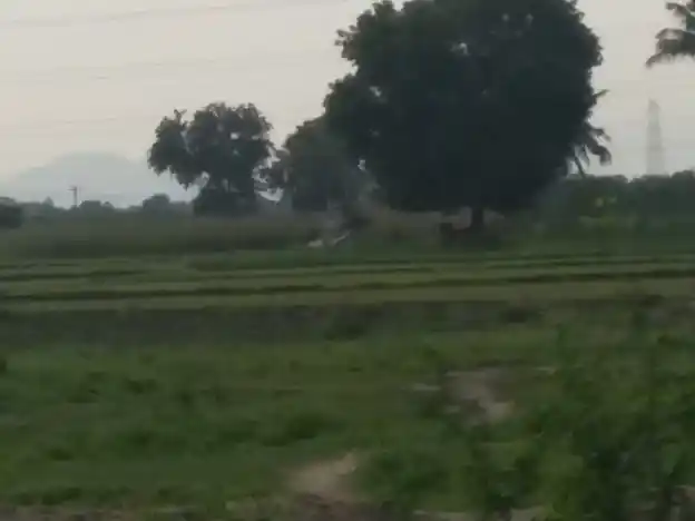 Arulmigu Vinayagar Temple, Pungangulam - 625706