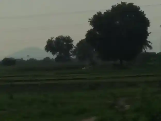 Arulmigu Vinayagar Temple, Pungangulam - 625706 அருள்மிகு விநாயகர் கோயில், Pungangulam, Pungangulam - 625706, Madurai - Ancient Temple Architecture and History Image 2