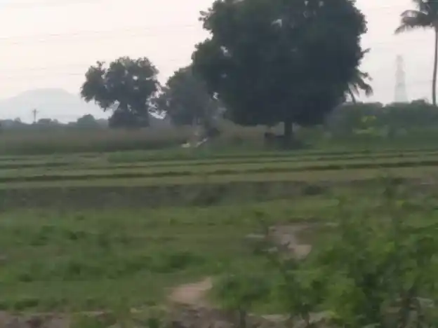 Arulmigu Vinayagar Temple, Pungangulam - 625706 அருள்மிகு விநாயகர் கோயில், Pungangulam, Pungangulam - 625706, Madurai - Ancient Temple Architecture and History Image 3