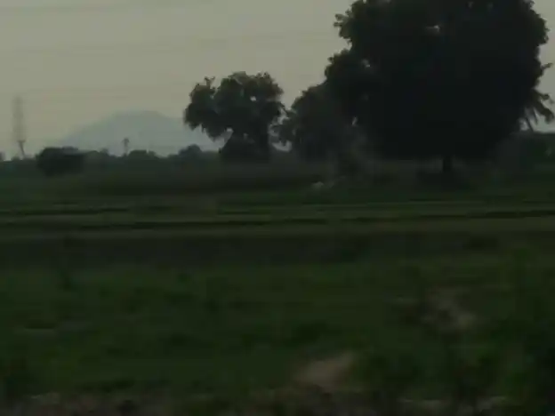 Arulmigu Vinayagar Temple, Pungangulam - 625706 அருள்மிகு விநாயகர் கோயில், Pungangulam, Pungangulam - 625706, Madurai - Ancient Temple Architecture and History Image 4