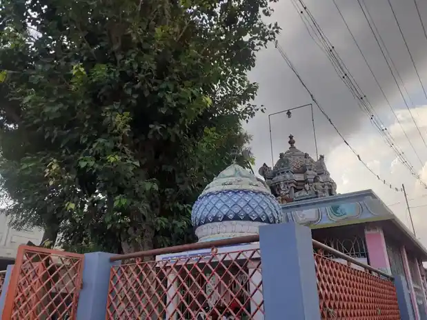 Arulmigu Vinayagar Temple, Punjai Lakkapuram - 638002 அருள்மிகு விநாயகர் திருக்கோயில், Punjai Lakkapuram - 638002, Erode - Ancient Temple Architecture and History Image 6