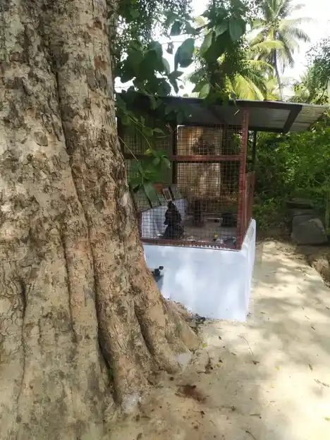 Arulmigu Vinayagar Temple, Puravipalayam - 642110