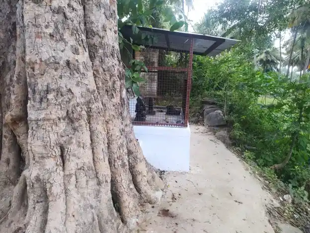 Arulmigu Vinayagar Temple, Puravipalayam - 642110 அருள்மிகு விநாயகர் திருக்கோயில், Puravipalayam - 642110, Coimbatore - Ancient Temple Architecture and History Image 3