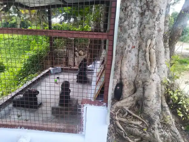 Arulmigu Vinayagar Temple, Puravipalayam - 642110 அருள்மிகு விநாயகர் திருக்கோயில், Puravipalayam - 642110, Coimbatore - Ancient Temple Architecture and History Image 7