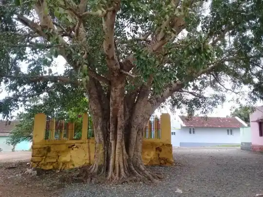 Arulmigu Vinayagar Temple, R.Poonapuram - 642002 அருள்மிகு விநாயகர் திருக்கோயில், R.Poonapuram - 642002, Coimbatore - Ancient Temple Architecture and History Image 3