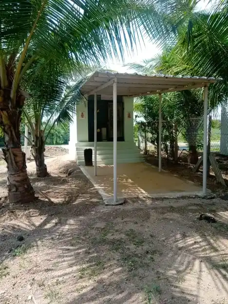 Arulmigu Vinayagar Temple, Sarkar Periyapalayam - 641607 அருள்மிகு விநாயகர் திருக்கோயில், Sarkar Periyapalayam - 641607, Tiruppur - Ancient Temple Architecture and History Image 5