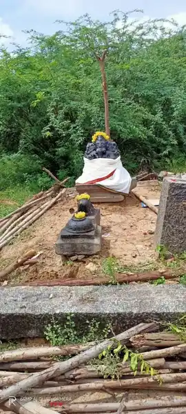 Arulmigu Vinayagar Temple, Seekanangkuppam - 603305 அருள்மிகு விநாயகர் திருக்கோயில், Seekanangkuppam - 603305, Chengalpattu - Ancient Temple Architecture and History Image 2