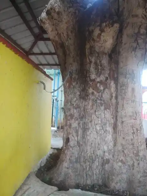 Arulmigu Vinayagar Temple, Sekkapatty - 624219 அருள்மிகு விநாயகர் திருக்கோயில், Sekkapatty - 624219, Dindigul - Ancient Temple Architecture and History Image 3