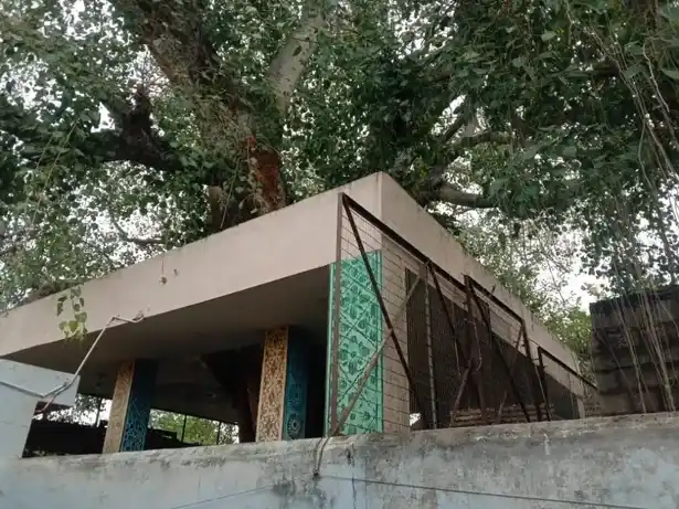 Arulmigu Vinayagar Temple, Sennanur, Thenkarai - 641101 அருள்மிகு விநாயகர் திருக்கோயில்nbspசென்னனுர், சென்னனுர், Thenkarai - 641101, Coimbatore - Ancient Temple Architecture and History Image 2