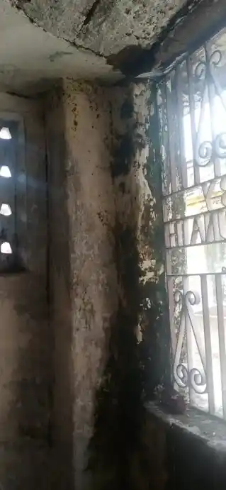 Arulmigu Vinayagar Temple, Sholinghur - 631102 அருள்மிகு விநாயகர் திருக்கோயில், சோளிங்கர் - 631102, Ranipet - Ancient Temple Architecture and History Image 3