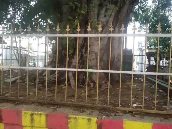 Arulmigu Vinayagar Temple, Singarakottai - 624802 அருள்மிகு விநாயகர் திருக்கோயில், Singarakottai - 624802, Dindigul - Ancient Temple Architecture and History Image 4