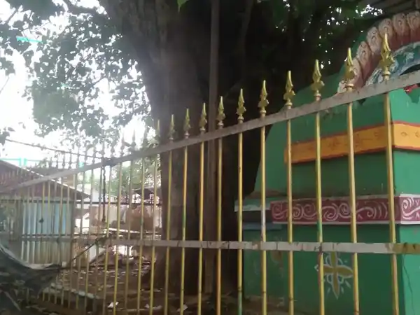 Arulmigu Vinayagar Temple, Singarakottai - 624802 அருள்மிகு விநாயகர் திருக்கோயில், Singarakottai - 624802, Dindigul - Ancient Temple Architecture and History Image 5