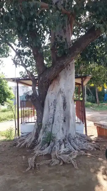 Arulmigu Vinayagar Temple, Sullipalayam, Sullipalayam - 638052 அருள்மிகு விநாயகர் திருக்கோயில், சுள்ளிபாளையம், Sullipalayam - 638052, Erode - Ancient Temple Architecture and History Image 4