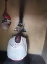 Arulmigu Vinayagar Temple, Thandalaiputhur - 621217 Temple