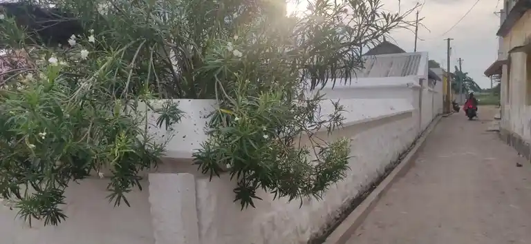 Arulmigu Vinayagar Temple, Thenur - 621114 அருள்மிகு விநாயகர் திருக்கோயில், Thenur - 621114, Perambalur - Ancient Temple Architecture and History Image 2