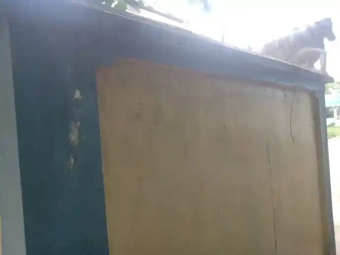 Arulmigu Vinayagar Temple, Thillaividangan - 608102 அருள்மிகு விநாயகர் திருக்கோயில், Thillaividangan - 608102, Cuddalore - Ancient Temple Architecture and History Image 3