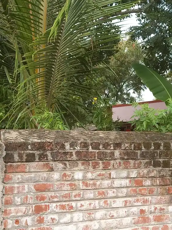 Arulmigu Vinayagar Temple, Thiruvalavayanalur - 625221 அருள்மிகு விநாயகர் திருக்கோயில், Thiruvalavayanalur - 625221, Madurai - Ancient Temple Architecture and History Image 2