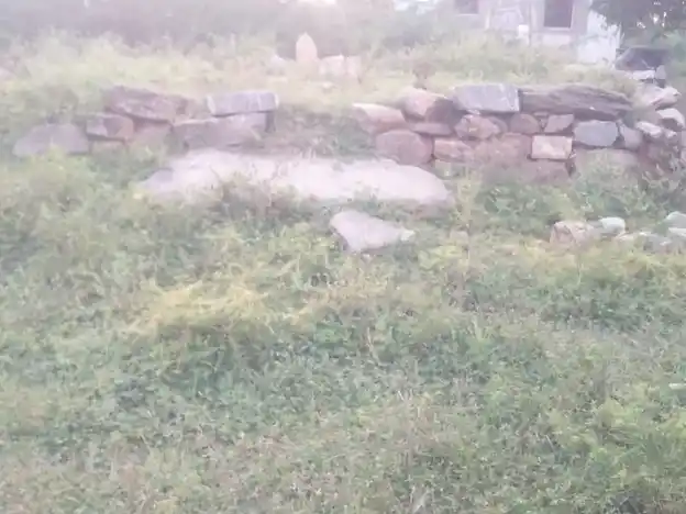 Arulmigu Vinayagar Temple, Tholipatti - 624703