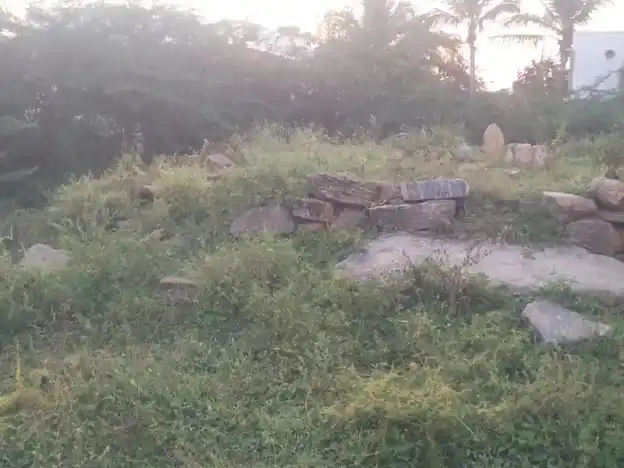 Arulmigu Vinayagar Temple, Tholipatti - 624703 தொப்பையான்மலைக்கோவில், Tholipatti - 624703, Dindigul - Ancient Temple Architecture and History Image 5