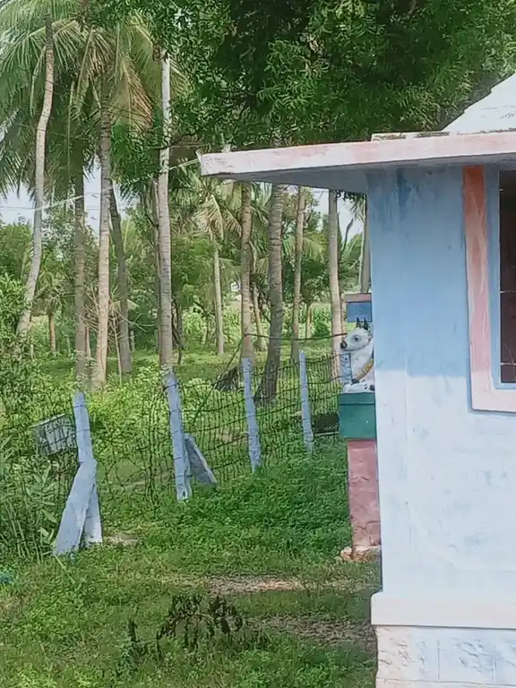 Arulmigu Vinayagar Temple, Thopupatti - 624705 Arulmigu Vinayagar Temple, Thopupatti - 624705, Dindigul - Ancient Temple Architecture and History Image 2