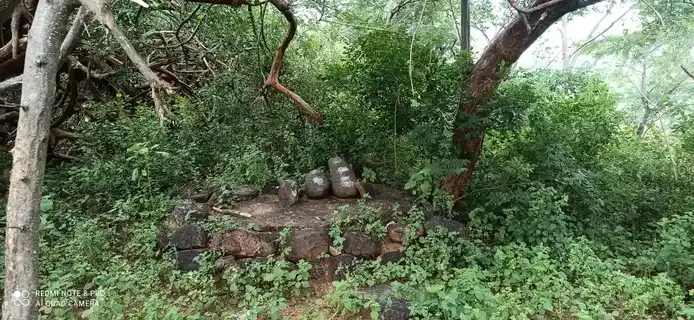 Arulmigu Vinayagar Temple, Thulukampatti - 621310