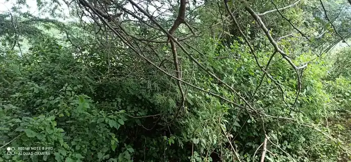 Arulmigu Vinayagar Temple, Thulukampatti - 621310 Arulmigu Vinayagar Temple, Thulukampatti - 621310, Thiruchirappalli - Ancient Temple Architecture and History Image 2