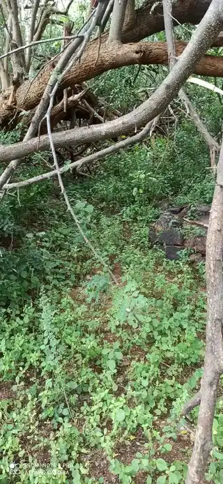 Arulmigu Vinayagar Temple, Thulukampatti - 621310 Arulmigu Vinayagar Temple, Thulukampatti - 621310, Thiruchirappalli - Ancient Temple Architecture and History Image 3
