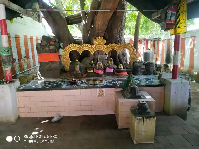 Arulmigu Vinayagar Temple, Town Hall Road, Madurai - 625001 அருள்மிகு விநாயகர் திருக்கோயில், டவுன் ஹால் ரோடு, மதுரை - 625001, Madurai - Ancient Temple Architecture and History Image 3