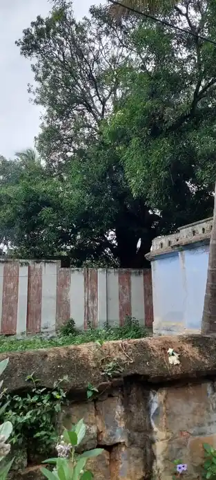 Arulmigu Vinayagar Temple, Uthamapalayam - 625533 அருள்மிகு விநாயகர் கோயில், Uthamapalayam - 625533, Theni - Ancient Temple Architecture and History Image 4