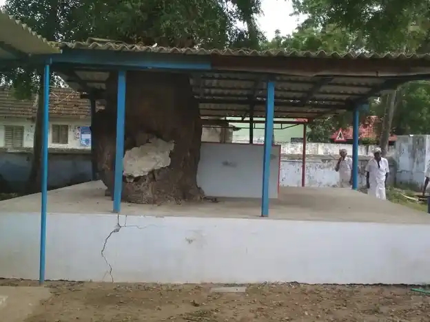 Arulmigu Vinayagar Temple, Vadachithoor - 641202 Arulmigu Vinayagar Temple, Vadachithoor - 641202, Coimbatore - Ancient Temple Architecture and History Image 3