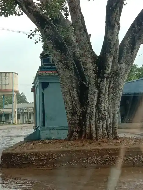 Arulmigu Vinayagar Temple, Vajraservaikaranpatti - 624620